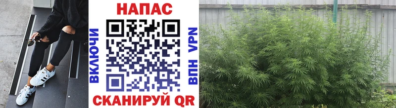 Купить закладку Нефтеюганск Марихуана мега ССЫЛКА Alpha-PVP Меф мяу мяу Cocaine