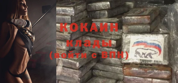 хмурый Абаза