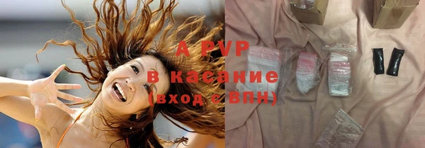 хмурый Абаза