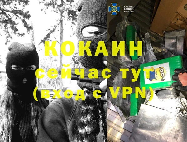 хмурый Абаза