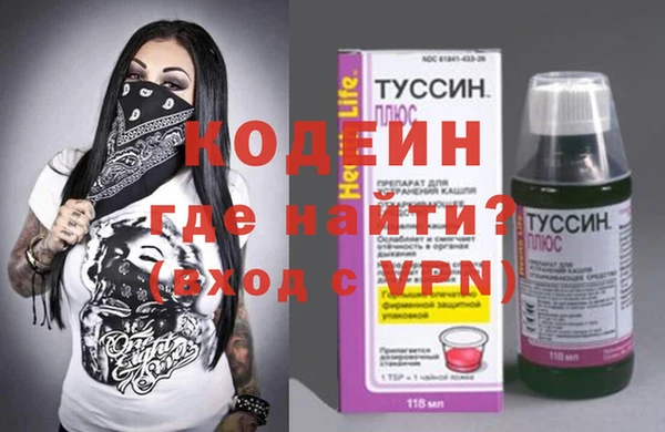 хмурый Абаза
