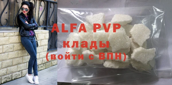 хмурый Абаза