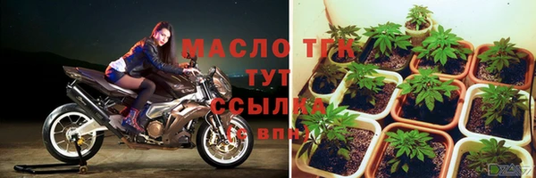хмурый Абаза