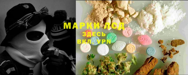 хмурый Абаза