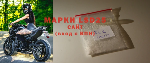 хмурый Абаза