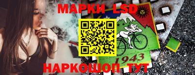 стаф Камышлов