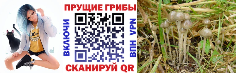Галлюциногенные грибы мицелий  Нефтеюганск 